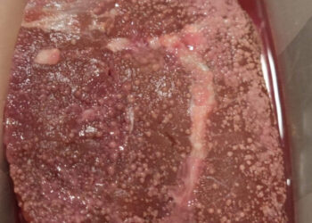 ‘കിക്കാവാൻ’-മദ്യം-തന്നെ-വേണോ?-കുറച്ച്-പഴകിയ-മാംസം-മതിയെന്ന്-ചിലർ