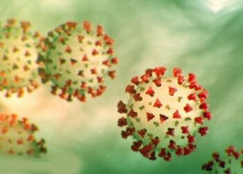 ഇന്ത്യയില്‍-നിന്ന്-വരുന്നവര്‍ക്ക്-തടവ്ശിക്ഷ-;-ഓസ്‌ട്രേലിയന്‍-നടപടിയില്‍-വ്യാപക-വിമര്‍ശം