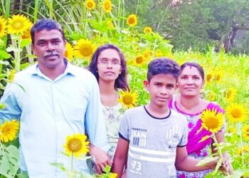 ആലപ്പുഴയിൽ-വീണ്ടും-സൂര്യകാന്തിപ്പൂക്കാലം;-ഇതുവരെ-സന്ദർശിച്ചത്‌-75,000-പേർ