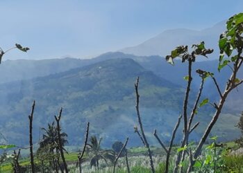 മറയൂരിൽ-ആപ്പിൾ-തോട്ടങ്ങളിലൂടെ-കെഎസ്‌ആർടിസി-ടൂറിസ്‌റ്റ്‌-ബസ്‌;-ചന്ദനകാറ്റേറ്റ്‌-യാത്ര