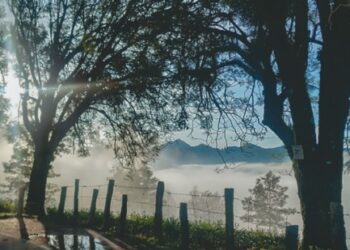 മൂന്നാറിൽ-അതിശൈത്യം;-കുളിരുതേടി-സഞ്ചാരികൾ