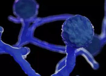 ബ്ലാക്ക്-ഫംഗസ്:-ആരോഗ്യ-വകുപ്പ്-മാര്‍ഗനിര്‍ദേശം-പുറത്തിറക്കി