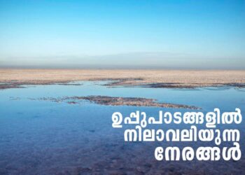 കച്ചിലെ-മന്ത്രവാദികള്‍