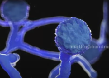 ബ്ലാക്ക്-ഫംഗസ്-ബാധിച്ച്-സംസ്ഥാനത്ത്-നാല്-മരണംകൂടി