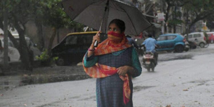സംസ്ഥാനത്ത്-ശക്തമായ-മഴ-തുടരും;-വിവിധ-ജില്ലകളിൽ-യെല്ലോ-അലേർട്ട്