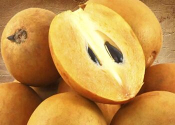 സപ്പോട്ട-കഴിച്ചാൽ-ലഭിക്കും-ഈ-ഗുണങ്ങളൊക്കെ