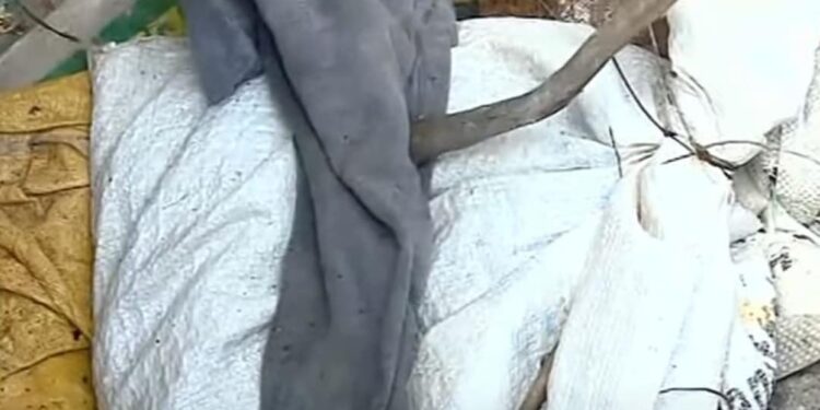 കാസര്‍കോട്ട്-പാമ്പുകളെ-ഉപയോഗശൂന്യമായ-വാട്ടര്‍ടാങ്കില്‍-ചാക്കില്‍ക്കെട്ടി-ഉപേക്ഷിക്കുന്നതായി-പരാതി