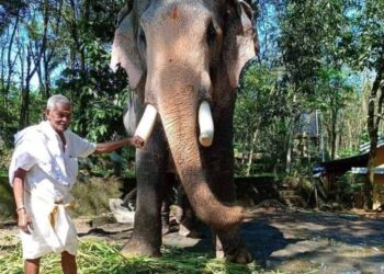 കണ്ണീരണിയിച്ച് ഗജവീരൻ ബ്രഹ്മദത്തൻ- വീഡിയോ വൈറൽ