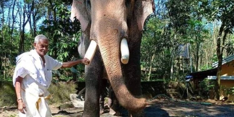 കണ്ണീരണിയിച്ച് ഗജവീരൻ ബ്രഹ്മദത്തൻ- വീഡിയോ വൈറൽ