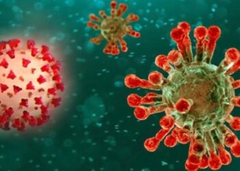 കോവിഡ്‌-ഇന്ത്യൻ-ഇനങ്ങൾ-ഇനി-‘കാപ്പ’,-‘ഡെൽറ്റ’