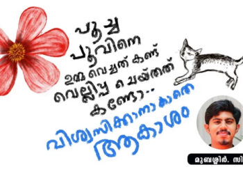 പൂച്ച-പൂവിനെ-ഉമ്മവച്ചത്-കണ്ട്-വെല്ലിപ്പ-ചെയ്തത്-കണ്ടോ…-വിശ്വസിക്കാനാകാതെ-ആകാശം