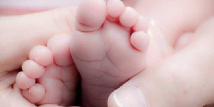 കൊച്ചിയില്‍-പ്രസവശേഷം-യുവതി-കുഞ്ഞിനെ-ഉപേക്ഷിച്ചതായി-സംശയം