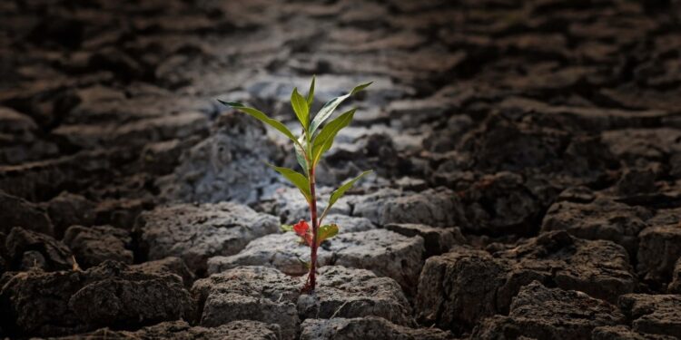 ഗ്രീന്‍സ്റ്റോം-അന്താരാഷ്ട്ര-നേച്ചര്‍-ഫോട്ടോഗ്രാഫി-മത്സരത്തിന്-തുടക്കമായി