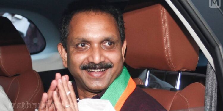 കൊടകരയ്ക്ക്-മറുപടി-മുട്ടില്‍;-സര്‍ക്കാരിനെതിരേ-മരംമുറി-കേസ്-ആയുധമാക്കാന്‍-കെ.സുരേന്ദ്രന്‍