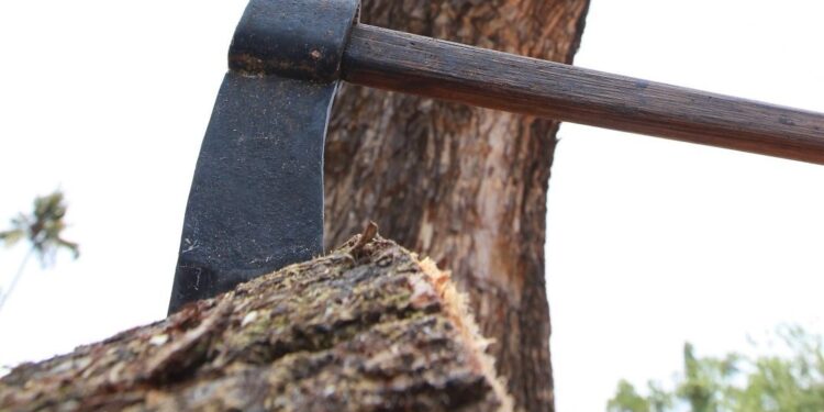 മരം-കൊള്ള-കേസ്-അന്വേഷണം-:-ക്രൈംബ്രാഞ്ച്-സംഘമായി-;-നേതൃത്വം-ഐജി-സ്പര്‍ജന്‍-കുമാറിന്