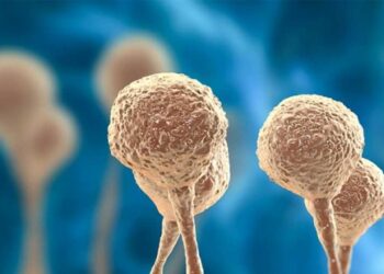 ഒമാനില്‍-മൂന്നു-പേര്‍ക്ക്-ബ്ലാക്ക്-ഫംഗസ്-സ്ഥിരീകരിച്ചു