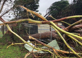 കനത്ത-കാറ്റിൽ-വിക്ടോറിയയിൽ-വ്യാപക-നാശനഷ്ടം