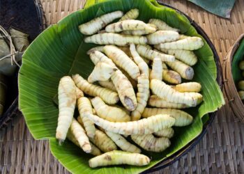 ഇത്തരം-പ്രശ്നങ്ങളെ-ഇനി-പേടിക്കേണ്ട;-കൂവപ്പൊടി-പരിഹാരമാകും