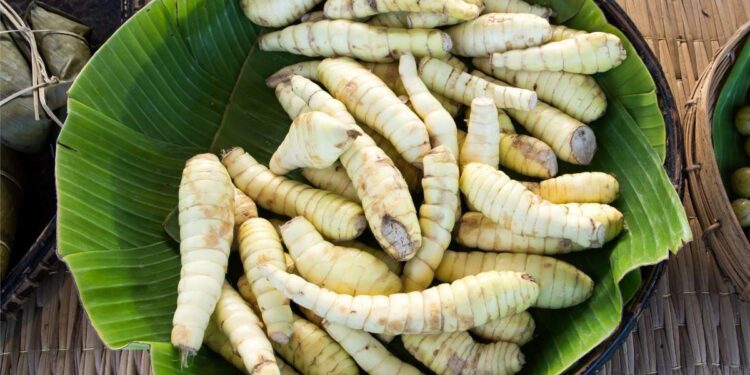 ഇത്തരം-പ്രശ്നങ്ങളെ-ഇനി-പേടിക്കേണ്ട;-കൂവപ്പൊടി-പരിഹാരമാകും