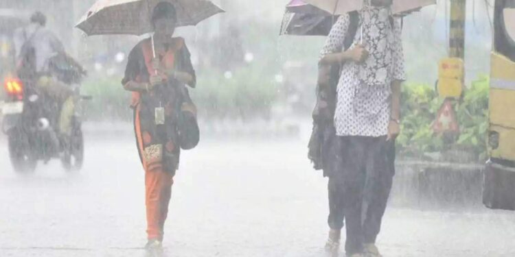 ഏഴ്-ജില്ലകളിൽ-ഇന്ന്-മഴ-ശക്തമാകുമെന്ന്-മുന്നറിയിപ്പ്;-യെല്ലേ-അലേർട്ട്-പ്രഖ്യാപിച്ചു