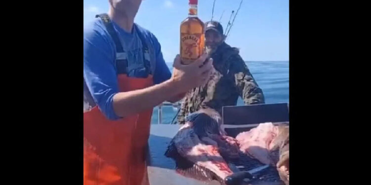 ഡബിൾ-ധമാക്ക!-വലയിട്ട്-പിടിച്ച-മീനിന്റെ-വയറിനകത്ത്-ഒരു-‘ഫുൾ’