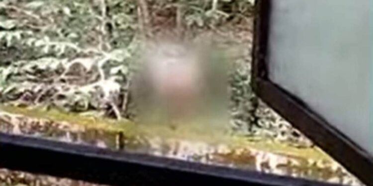 കണ്ണൂരില്-വനിതാ-ഹോസ്റ്റലിന്-മുന്നില്-യുവാവിന്റെ-നഗ്നതാ-പ്രദര്ശനം