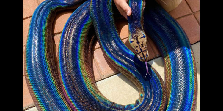 ഗ്ലാമറാണ്-സാറേ-ഇവന്റെ-മെയിൻ!-പേര്-മൈലവ്