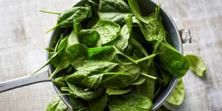 പ്രതിരോധശേഷി-വര്‍ധിപ്പിക്കാന്‍-ചീര;-ഗുണങ്ങളുടെ-പട്ടികയ്ക്ക്-നീളമേറെ