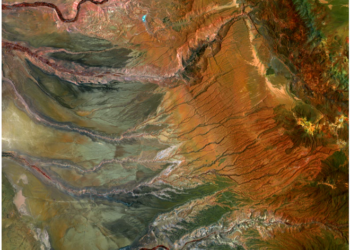 കഥ- തനിയാവർത്തനം.