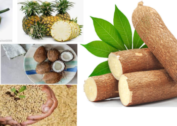 വ്യാവസായികാടിസ്ഥാനത്തിൽ മൂല്യവർധിത ഉത്പന്നങ്ങൾ-സംരംഭകത്വ പദ്ധതിയുമായി വ്യവസായവകുപ്പ്