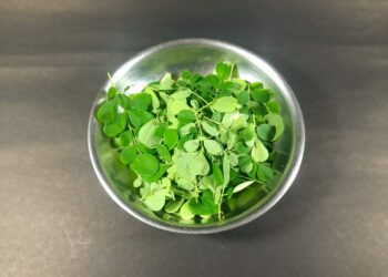 മുരിങ്ങയില-കഴിക്കണമെന്ന്-പറയുന്നത്-വെറുതെയല്ല!