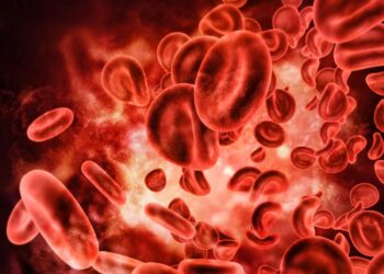 രക്തത്തിൽ-ഹീമോഗ്ലോബിൻ-കുറയാതെ-നോക്കാം,-ഇവ-കഴിച്ചോളൂ