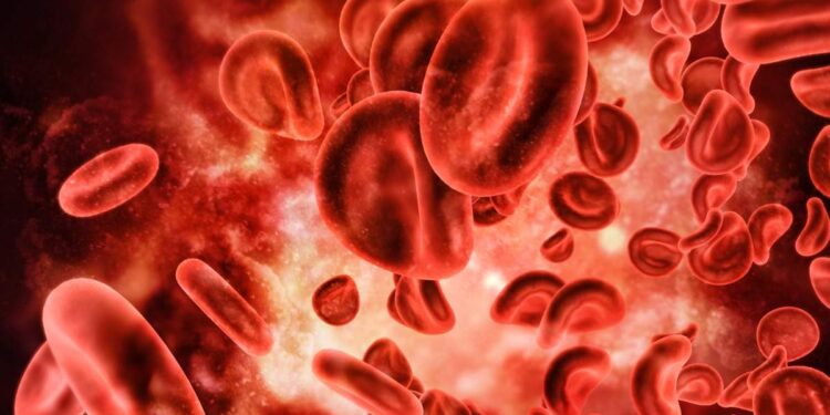 രക്തത്തിൽ-ഹീമോഗ്ലോബിൻ-കുറയാതെ-നോക്കാം,-ഇവ-കഴിച്ചോളൂ