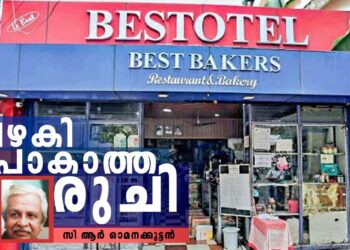 ബെസ്റ്റോട്ടൽ:-സ്നേഹത്തിന്റെ-ഉപ്പും-മുളകും