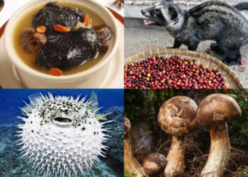 കോടീശ്വരന്മാർ-പോലും-കഴിക്കണോ-എന്ന്-രണ്ടാമതൊന്ന്-ചിന്തിക്കുന്ന-5-വിഭവങ്ങൾ