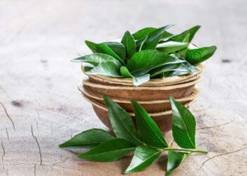 അറിയണം-കറിവേപ്പിലയുടെ-ഈ-ഗുണങ്ങൾ