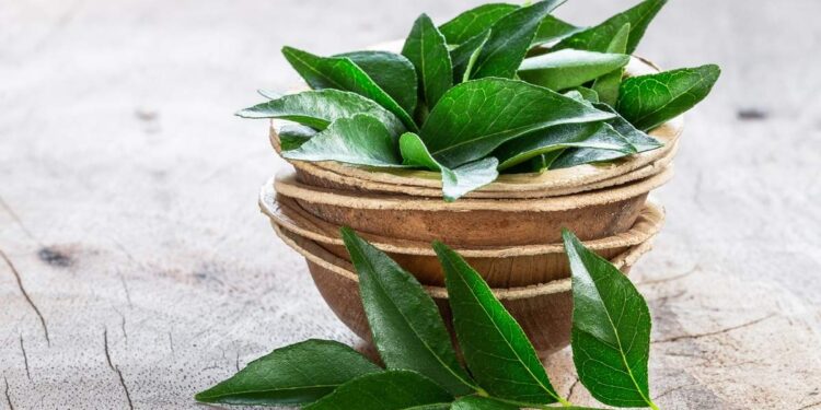 അറിയണം-കറിവേപ്പിലയുടെ-ഈ-ഗുണങ്ങൾ