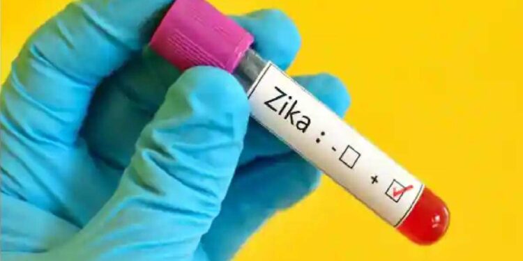 എന്താണ്-സിക്ക-വൈറസ്?-എങ്ങനെ-പ്രതിരോധിക്കാം,-രോഗലക്ഷണങ്ങൾ-എന്തെല്ലാം