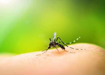 സിക്ക-വൈറസ്-കേരളത്തിലും,-ഗർഭിണികളിൽ-ഗുരുതരമാകും