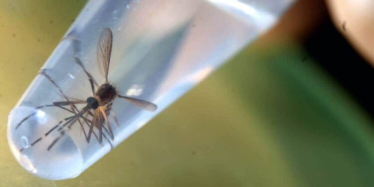 ഗര്‍ഭിണികളില്‍-സിക്ക-പരിശോധന;-രോഗം-പടരുന്നത്-ഒഴിവാക്കാന്‍-കര്‍ശന-നടപടികള്‍