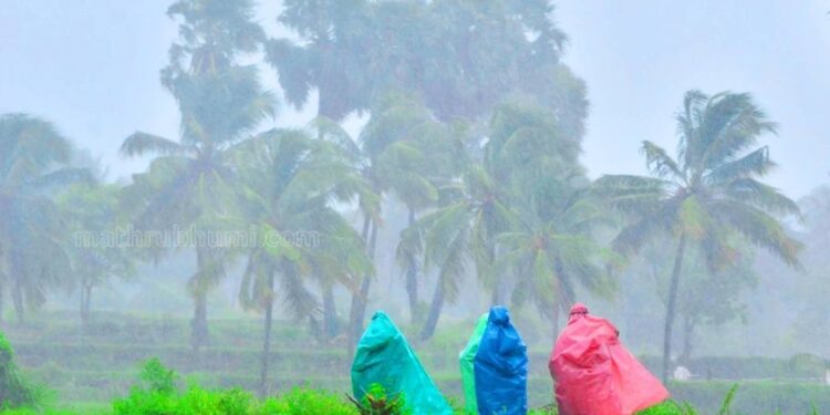 സംസ്ഥാനത്ത്-അടുത്ത-ദിവസങ്ങളില്‍-അതിതീവ്ര-മഴയ്ക്ക്-സാധ്യത;-ജാഗ്രതാ-നിര്‍ദേശം