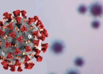 കോവിഡ്-ഉത്ഭവം:-ലാബിൽ-അല്ലെന്ന്-പഠനം