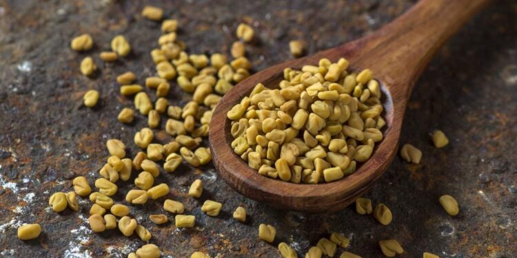 ശരീരഭാരം-കുറയ്ക്കാൻ-ഉലുവ-സഹായിക്കുമോ?-പഠനം-പറയുന്നത്