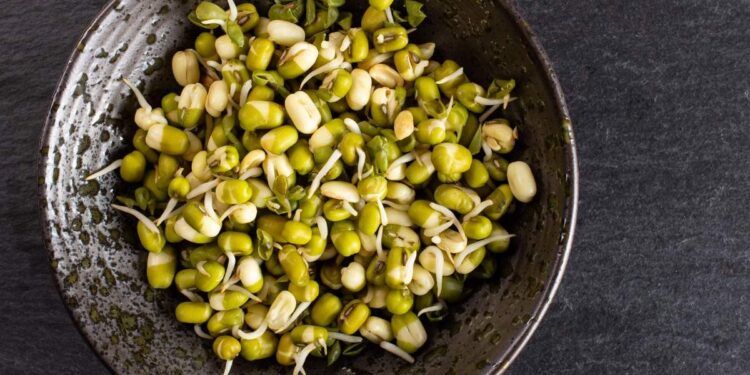 പയർ-കഴിക്കേണ്ടത്-മുളപ്പിച്ചോ-വേവിച്ചോ?