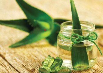 ഈ-ഗുണങ്ങൾക്ക്-രാവിലെ-വെറും-വയറ്റിൽ-കുടിക്കാം-കറ്റാർ-വാഴ-ജ്യൂസ്!