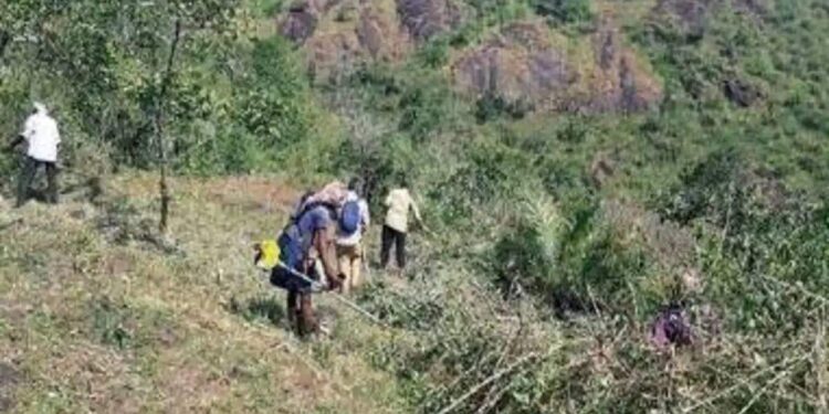 മറയൂരിൽ-ചന്ദനമരം-മോഷ്ടിക്കാനെത്തിയ-തമിഴ്നാട്-സ്വദേശി-കൊക്കയിൽ-വീണ്-മരിച്ചു