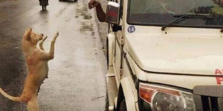 ‘മാസ്ക്-വയ്ക്കാത്തവരെ-ഓടിച്ചിട്ട്-കടിക്കട്ടെ-സാറെ?’:-അടിക്കുറിപ്പ്-മത്സരത്തിലെ-വിജയികളെ-പ്രഖ്യാപിച്ചു