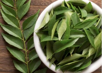 കറിവേപ്പില-കളയല്ലേ,-നല്ല-ആരോഗ്യത്തിന്-വേണം-ഈ-ഇലകൾ