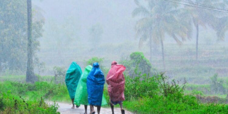 കേരളത്തില്‍-അതിശക്തമായ-മഴയ്ക്ക്-സാധ്യത;-വിവിധ-ജില്ലകളില്‍-ഓറഞ്ച്-അലര്‍ട്ട്