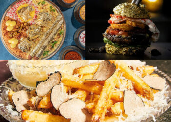 ലോകത്തിലെ-ഏറ്റവും-വിലയുള്ള-ബിരിയാണി,-ബർഗർ,-ഫ്രഞ്ച്-ഫ്രൈസ്-എവിടെ-കിട്ടും?